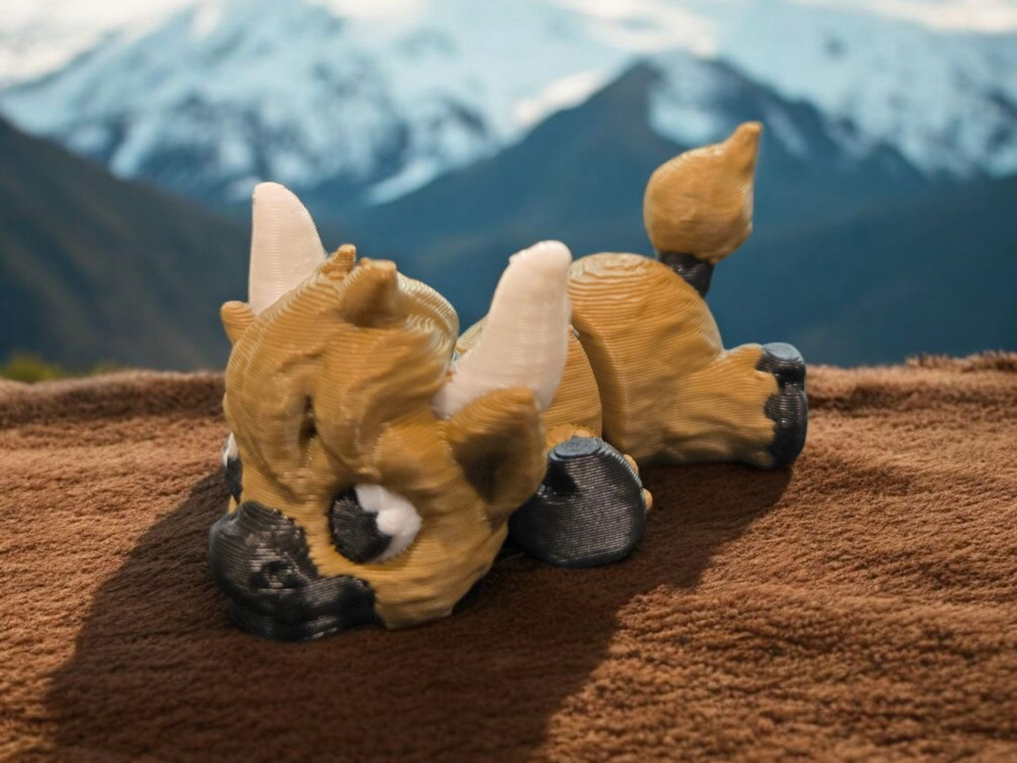 Highland Cow